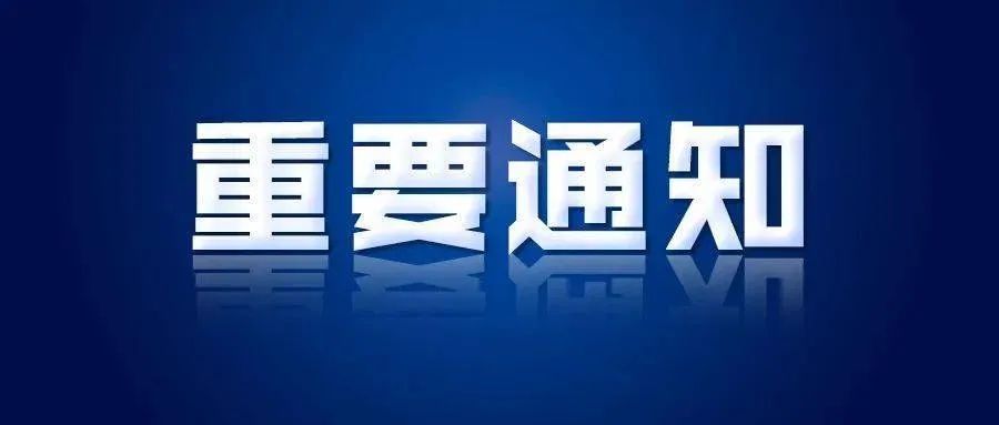 二O二四年度会计报表的审计报告